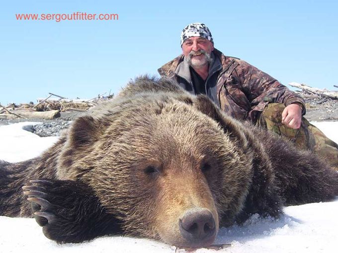 Spring east siberian brown bear Hunt in Okhotsk Sea coast
Ursus arctos beringianus 
Hunting dates  23-30 May - 03-12 June
5 - 7 days of hunt. If the trophies are bagged ahead of time, the boat will be call up as soon as the hunters are done hunting.

An optimal size of a hunting group is four hunters, two in each camp. Such camp will be provided with two hunting guides (one guide for each hunter), one camp-worker and one cook.

Hunters are transferred to the hunting camp on the day of arrival in Okhotsk.

Trophies are worked up according to the requirements of taxidermist workshops.

Hunting
Brown bear is hunted usually within 2-5 miles/3-8 km range outside the camp. A motor-boat can be used in the process of a brown bear hunt to reach the far away territories, inhabited by the bears. However, it is illegal to shoot at a bear from the motor boat.

Thus, the boats are used for transportation only and the hunters will be able to take a shot at a bear once they go ashore. The use of a motorboat enables hunters to cover lager territory, thus significantly raising the chances of a successful hunt.

Tour Program
1st day:

arrival at Okhotsk airport;
transfer to the hunting place (depending on prior arrangements, the hunters will be transferred either by MI-8 Helicopter or by motor-boat);
introductions to the camp-workers/hunting guides; safety instructions, observation of hunting rules and hunting area specifics, tips on regional Brown Bear hunt; scheduling the first hunting day on the map;
zeroing in; initializing GPS units and other mobile devices;
welcoming dinner. 
2nd day:

breakfast;
hunters and guides choose directions for the current hunting day and depart for hunt;
dinner upon return to the camp;
the group discusses results of the hunting day.
3d – 7th day:

The daily agenda is similar to 2nd day. If the hunt is unsuccessful by the 4th day, the hunting strategy for the remaining period of time should be revised by the outfitter and the hunting group. If decided to relocate the camp, on the morning of the 5th day the helicopter/motor-boat will be moving the camp to the new area to continue the hunt.

8th day:

breakfast;
trophy preservation, packing;
departure for Okhotsk;
HOTEL ACCOMMODATION;
free time;
farewell dinner. 
9th day:

breakfast;
transfer to Okhotsk airport;
departure.
Accommodation during Hunt
The hunting group is placed in the tents. Each tent can accommodate up to 4 people. Breakfast and dinner are cooked on the gas stove and/or campfire. Bagged lunch is provided daily. NB: please notify us of your diet restrictions/preferences beforehand.

The camp is equipped with a field toilet, a field bath-house, a mobile electric power station and mobile communication devices.

The guests are provided with the tents, mats and field-kitchenware. If motorboat is used during the hunt, one boat if provided for two hunters and their guides.

Maintenance Staff
personal hunting guide (one guide per one hunter);
outfitter, cook.
A hunting guide is responsible for bringing a hunter to the trophy animal within a gunshot range (e.g. in a Brown Bear hunt an animal should be shot at from a distance of 200 meters or less). During the hunt the guide handles all safety-related issues. The guide pretreats the trophy according to the hunter’s taste and takes pictures if requested. A guide stays with a hunter throughout the hunt. All guides are experienced in facilitating the visiting hunters. Most of the guides are professional hunters themselves.

The outfitter/the outfitter representative supervises a hunt, assigns guides to the hunters, schedules the hunt and monitors trophy processing. The outfitter/the outfitter representative provides means of communication. The outfitter/the outfitter representative is responsible for all safety issues related with the hunting tour, he handles the first-aid kit. The outfitter/the outfitter representative can also take responsibility of an interpreter and act as one.

A camp-worker is responsible for keeping the camp territory and living quarters in order, servicing the electric power station and field bath-house, stocking firewood and providing water supply.

A cook is responsible for providing the hunters and staff members with three meals a day (including bagged lunches for hunters).
9600 usd incl 2 trophies for each hunter
Tour Price Includes
transfers to/from Okhotsk airport;
2 licenses;
transfers to/from the hunting camp;
camp accommodation;
meals;
hunting guides;
transfer to/from the hunting area (camp)
interpreter; 
trophy processing.